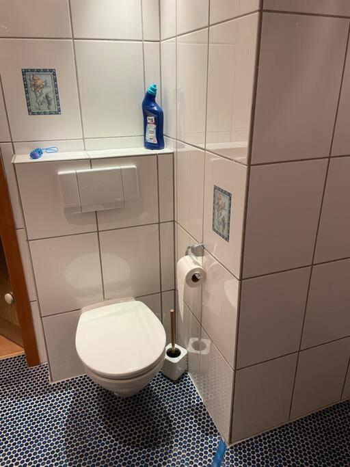 Lambrecht  Apartment Im Pfaelzerwald מראה חיצוני תמונה